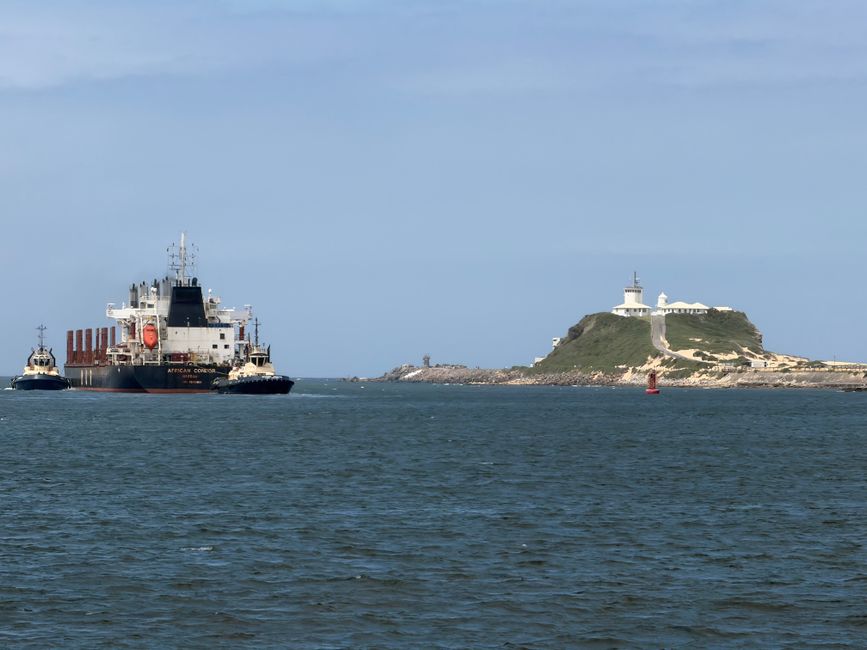 Port of Newcastle and the Coal Question