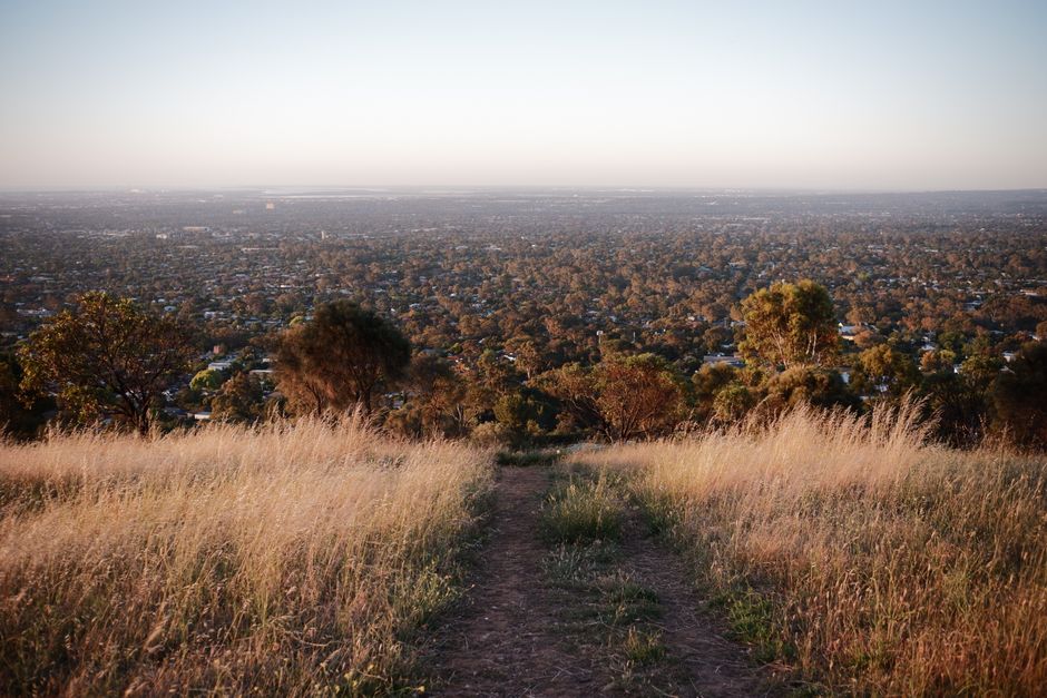 From Parklands to Peak Performance: How Adelaide's Grassroots Climbing Movement Built a Community