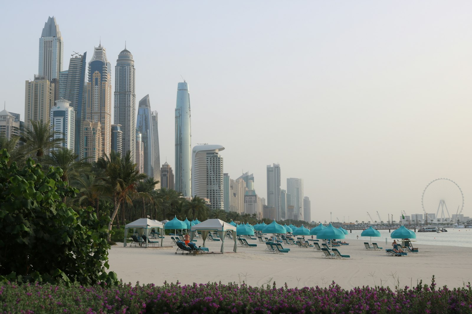 Dubai Residents Cut Stress With Beachfront Breathing, Walking Groups