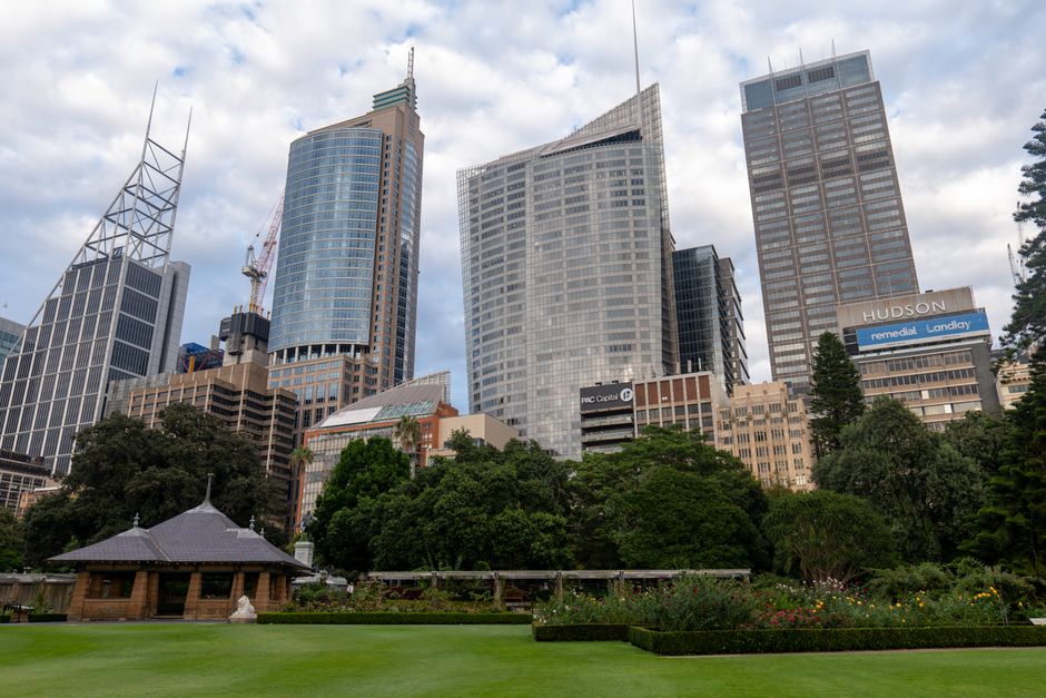 Jane Austen First Edition Ignites Debate Among Sydney Literary Community