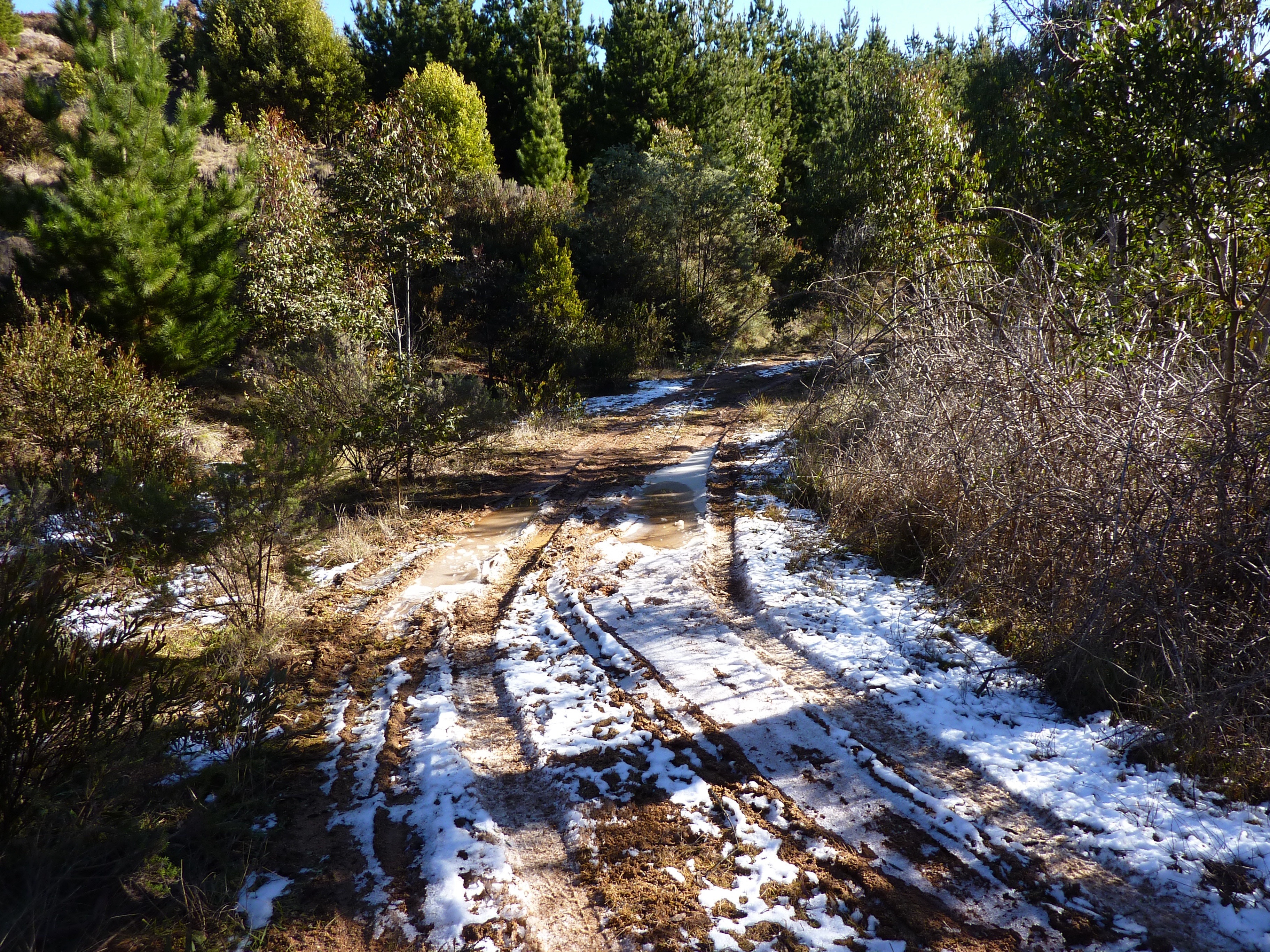 Photo from Corin Forest Snowplay