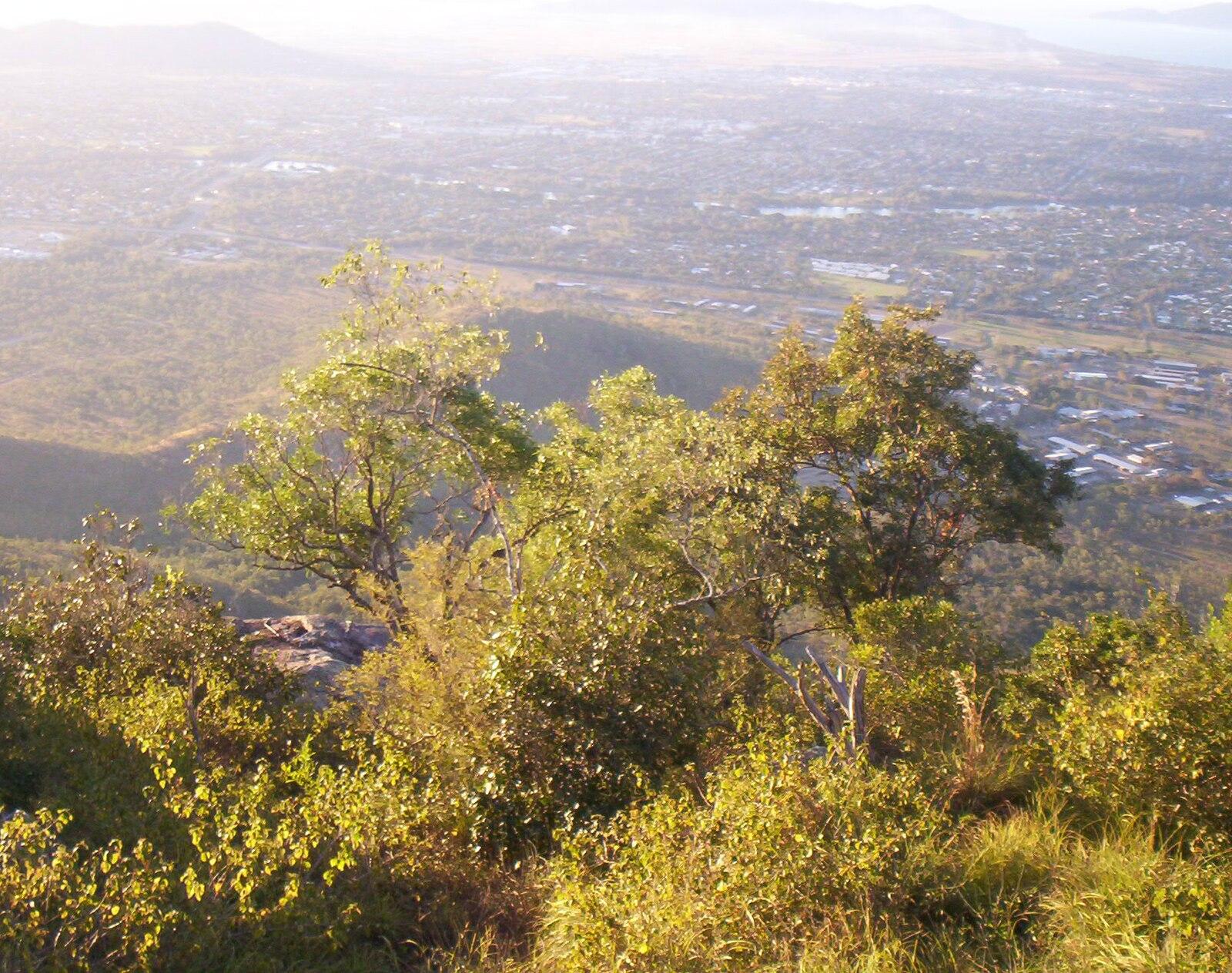Behind the Numbers: The Data Statistics and Numbers Behind Townsville's Recovery Story