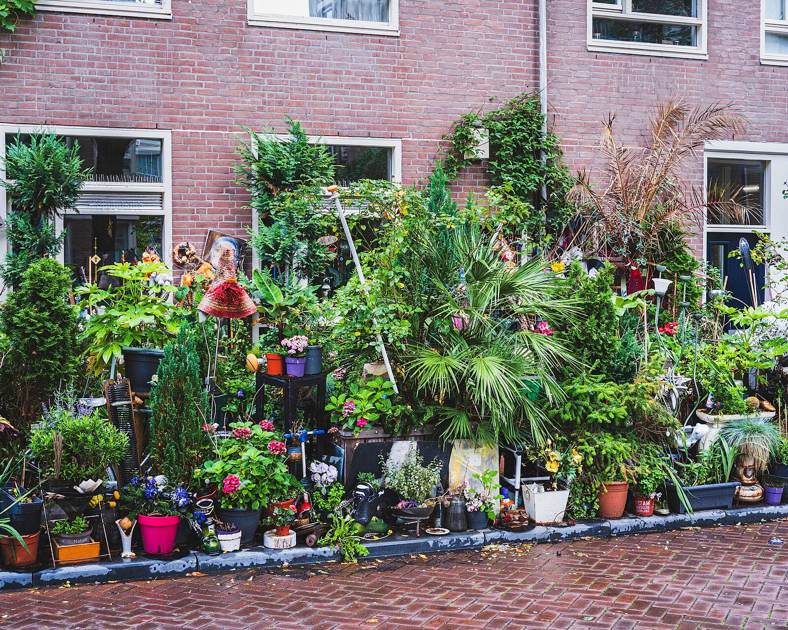 Amsterdam's Build-to-Rent Wave: What the New Developments Actually Offer Tenants