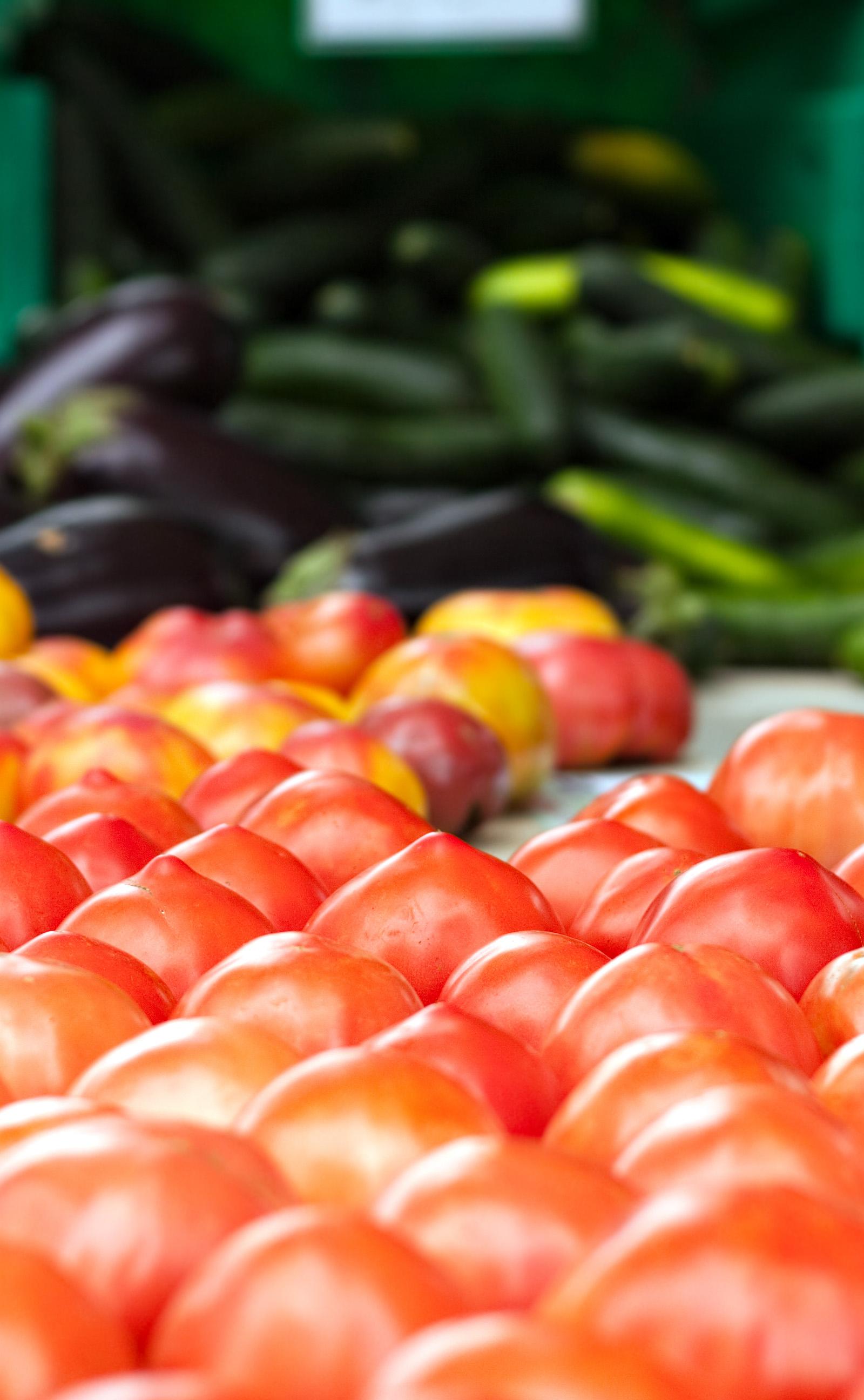 Louisville Farmers Markets Peak in July: Fresh Tomatoes, Corn, Berries
