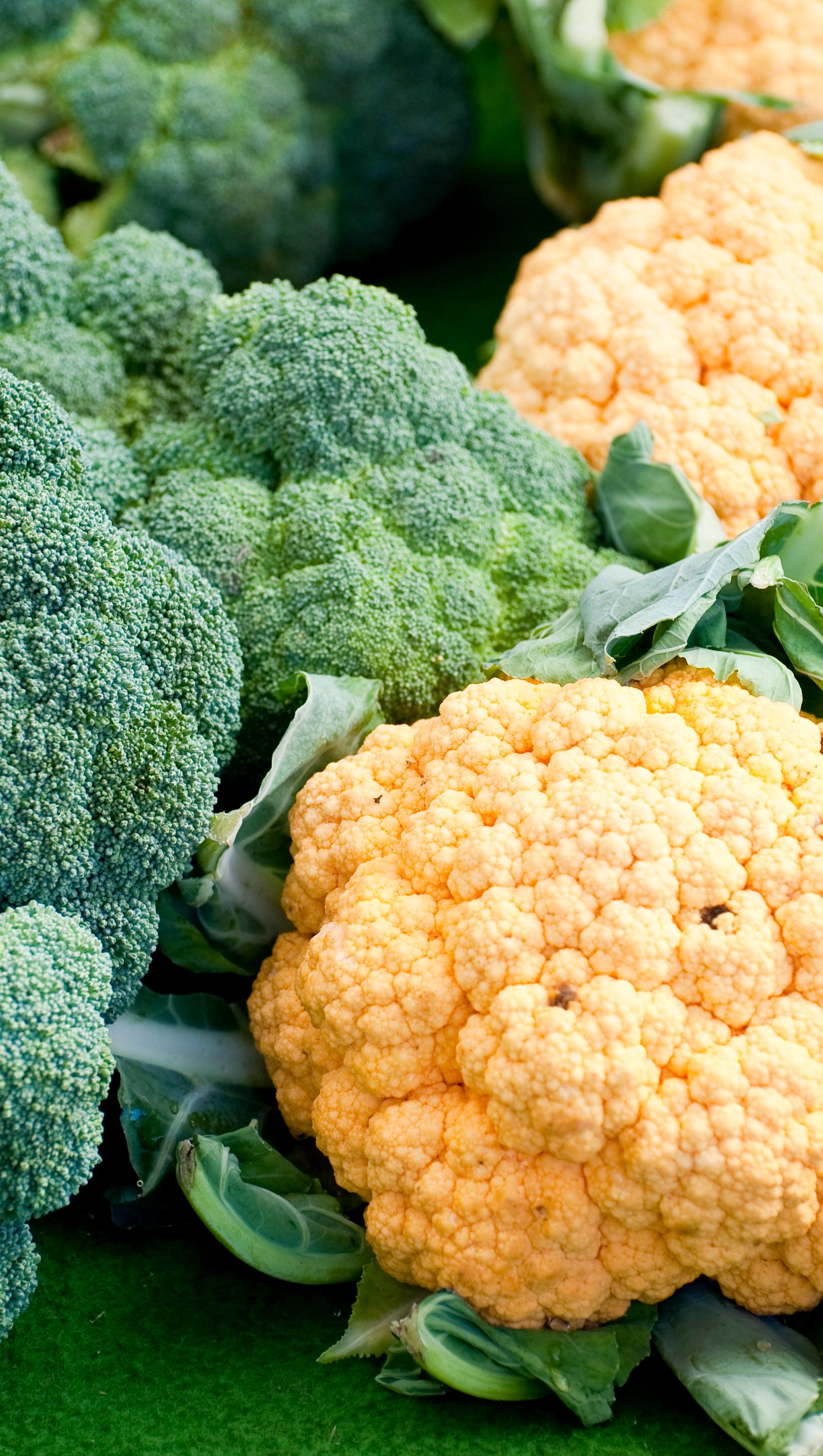 Kansas City Launches 2026 Farmer's Market Passport: Access 23 Metro Markets