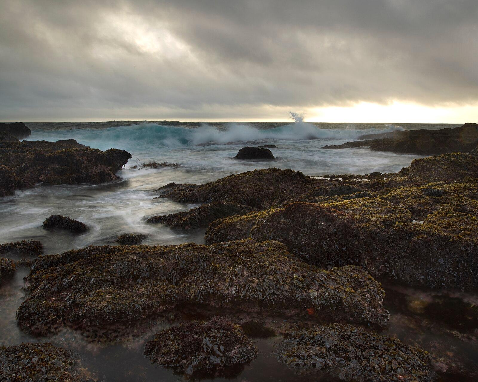 By the Numbers: What the Data Actually Tells Us About Life on the Central Coast Right Now