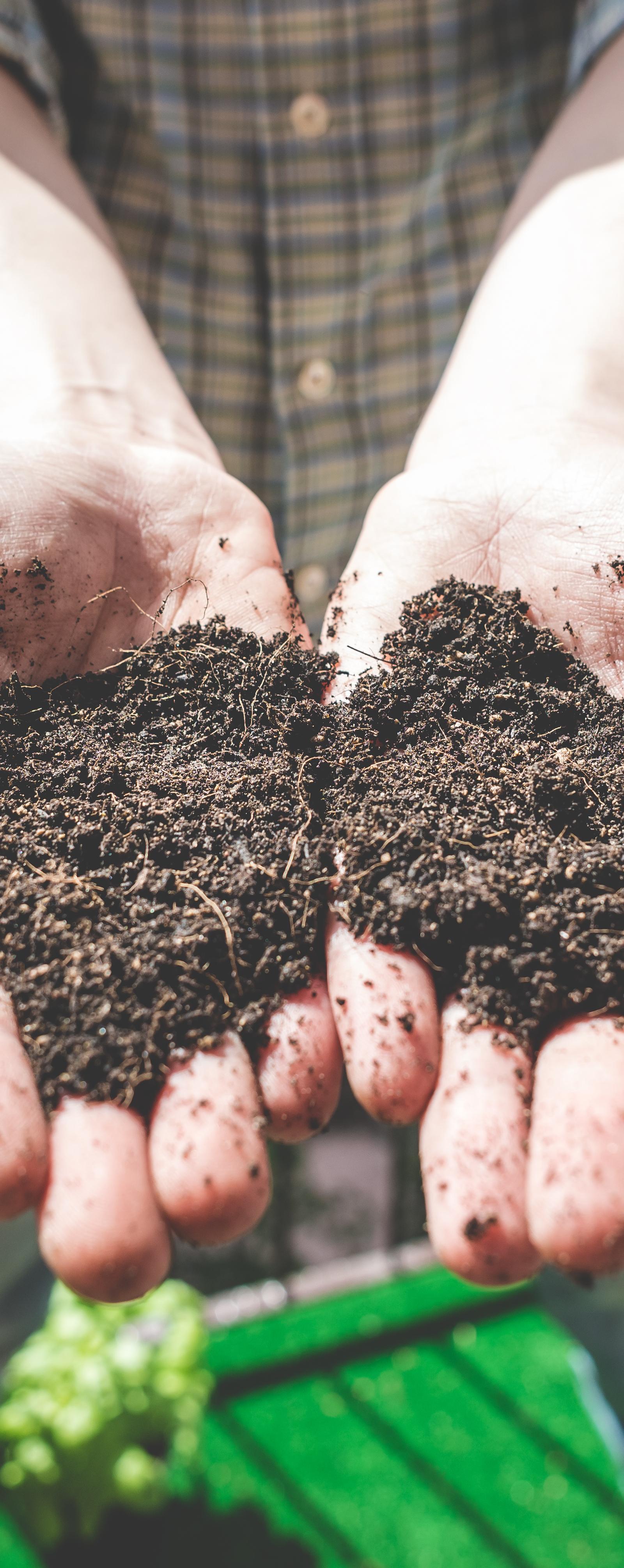 Canberra Gardeners: Essential Climate and Soil Tips for Spring Success