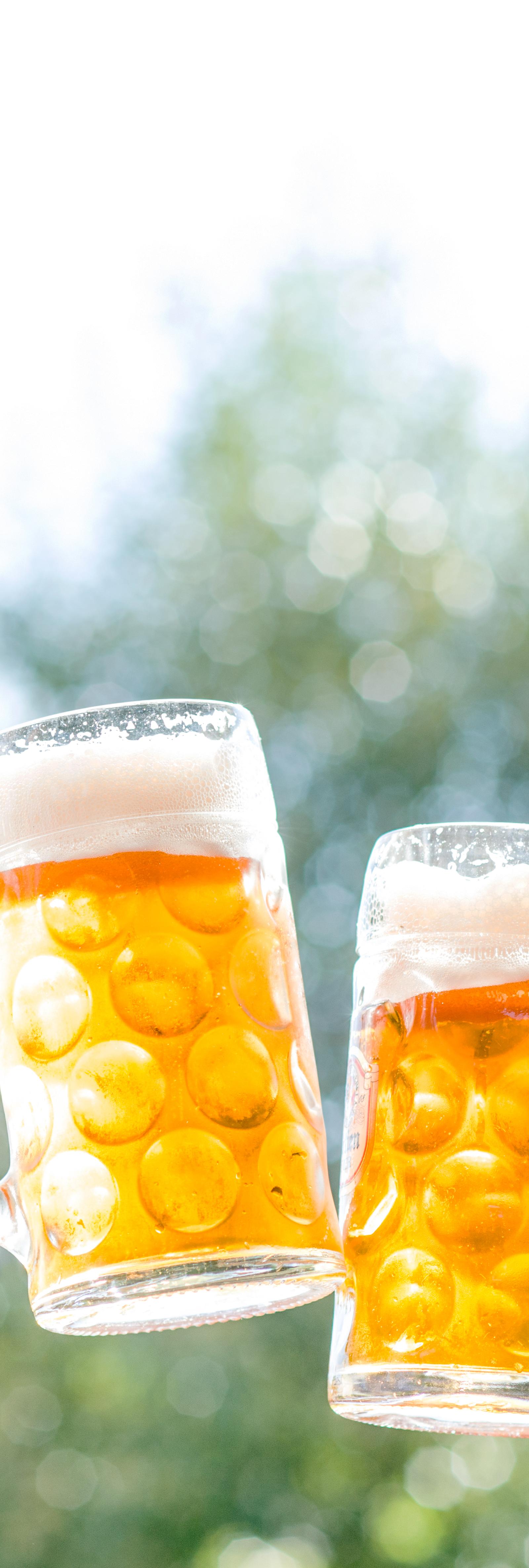 Munich Beer Garden Culture: A Guide to the Tradition
