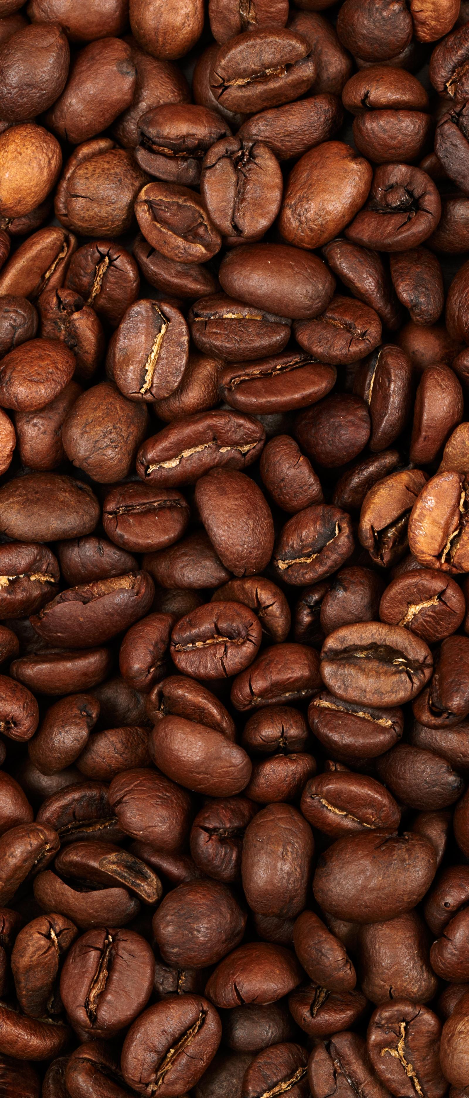 Canberra Cafes Abandon Instagram Aesthetics for Serious Coffee Culture