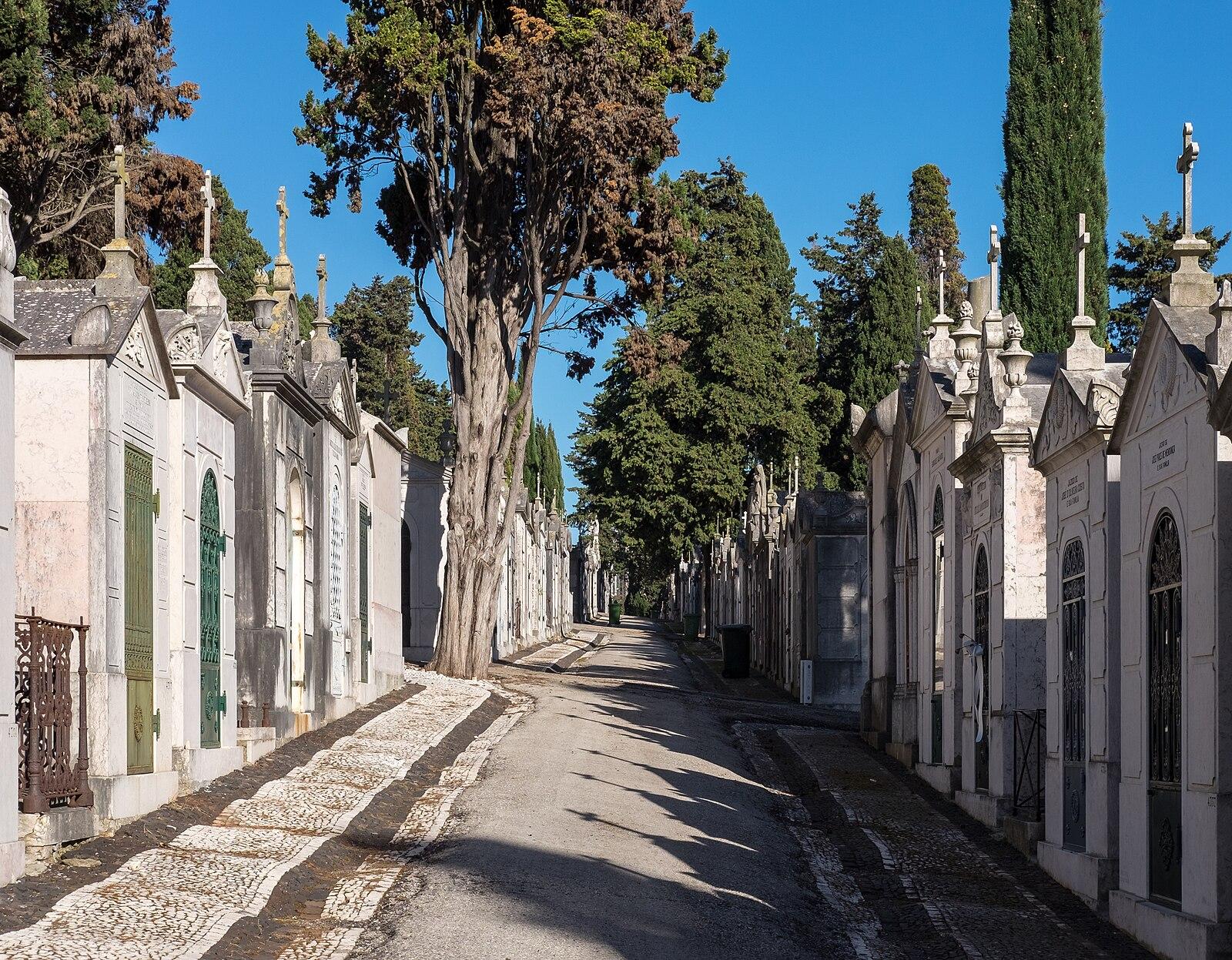 Lisbon launches AI traffic systems and digital portal by 2026